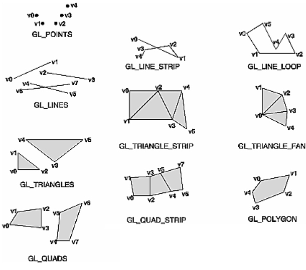 gl vertices